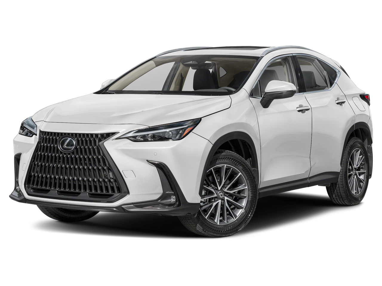2024 Lexus NX