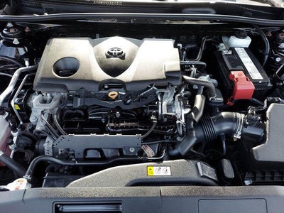 2019 Toyota CAMRY LE