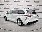 2025 Toyota Sienna Limited 7 Passenger