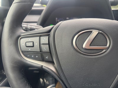 2024 Lexus UX HYBRID 250h Premium
